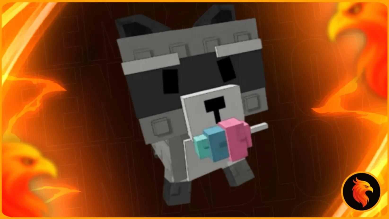 RACCOON