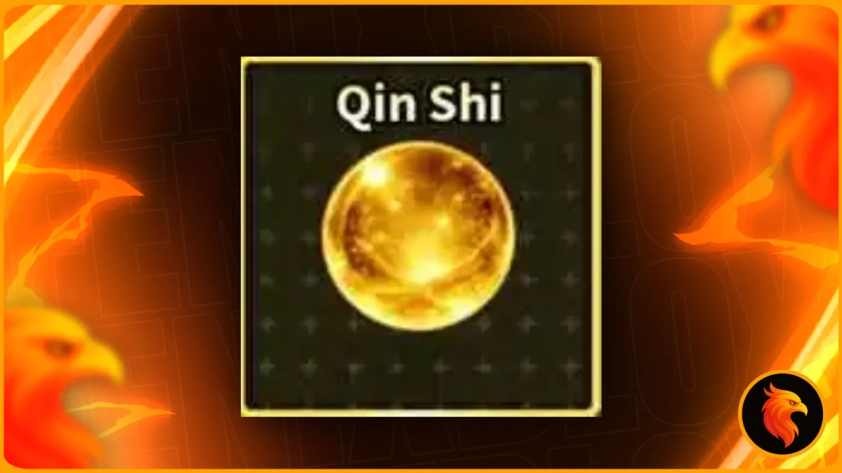 🎁 QIN SHI 🎁
